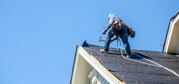 Professional Roofing Contractor in Melrose, MN